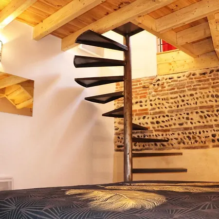 Les Perles Du Midi - Cocons Calmes Et Unique En Hyper-centre * トゥールーズ