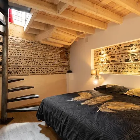 Les Perles Du Midi - Cocons Calmes Et Unique En Hyper-centre * トゥールーズ