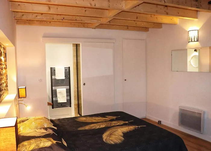 Les Perles Du Midi - Cocons Calmes Et Unique En Hyper-centre * トゥールーズ