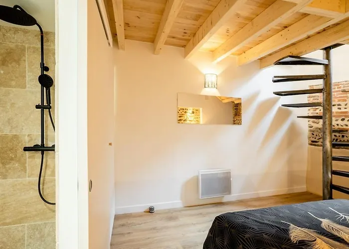 Les Perles Du Midi - Cocons Calmes Et Unique En Hyper-centre * トゥールーズ