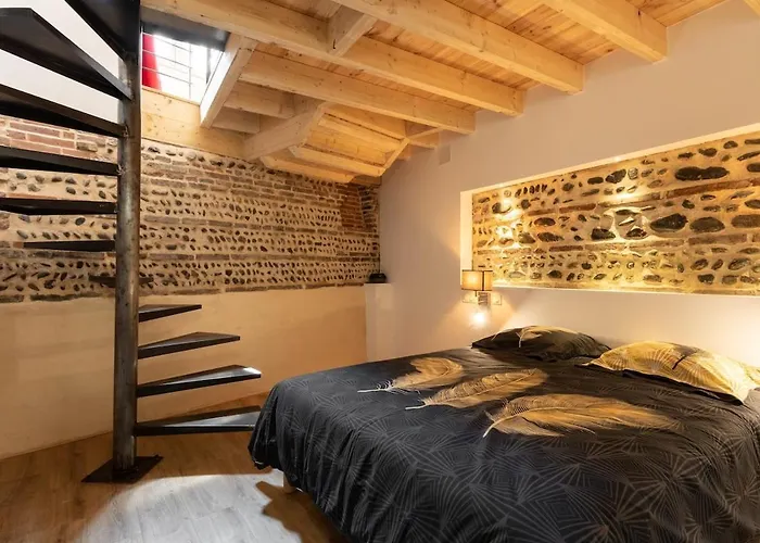 Les Perles Du Midi - Cocons Calmes Et Unique En Hyper-centre * トゥールーズ