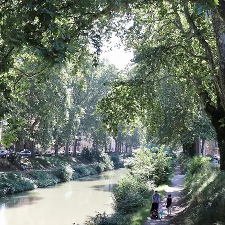 Les Perles Du Midi - Cocons Calmes Et Unique En Hyper-centre * טולוז
