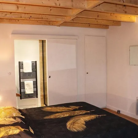 Les Perles Du Midi - Cocons Calmes Et Unique En Hyper-centre * Toulouse